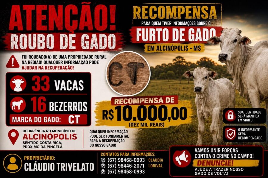 Imagem b8d9a8ce-0e01-4876-8493-bbd35b004b6a